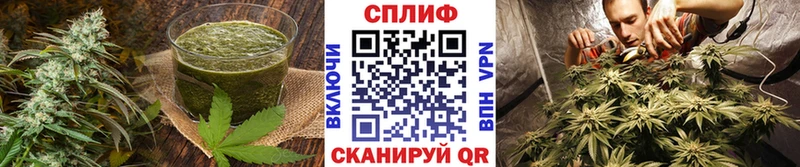сколько стоит  Ельня  Cannafood марихуана 
