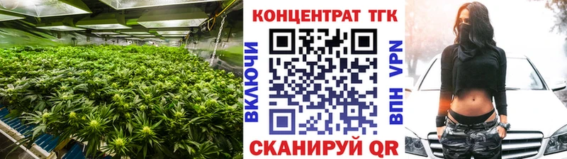 Дистиллят ТГК Wax купить наркотик Ельня
