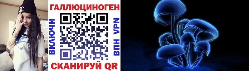 сколько стоит  Ельня  Псилоцибиновые грибы мухоморы 